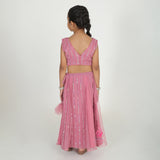 PInk sequin Lehenga set