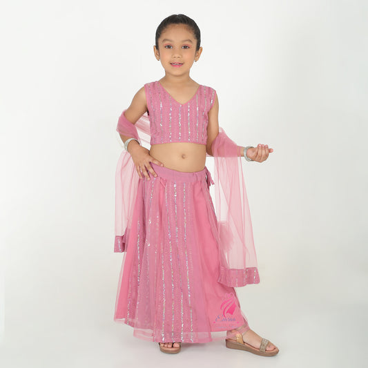 PInk sequin Lehenga set - EIARAA STUDIO