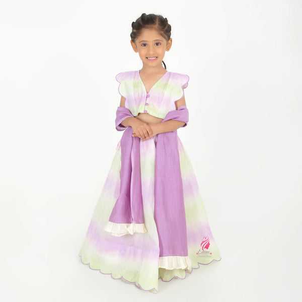 Lavender Shaded Lehenga Set