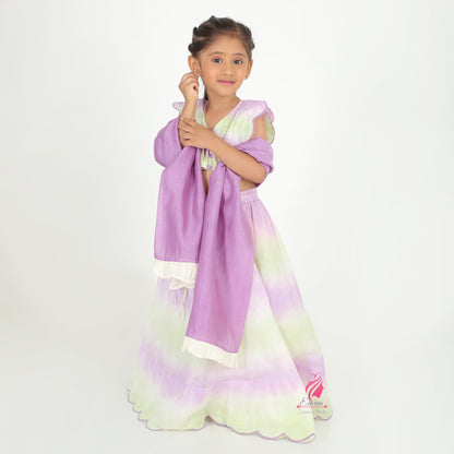 Lavender Shaded Lehenga Set - EIARAA STUDIO