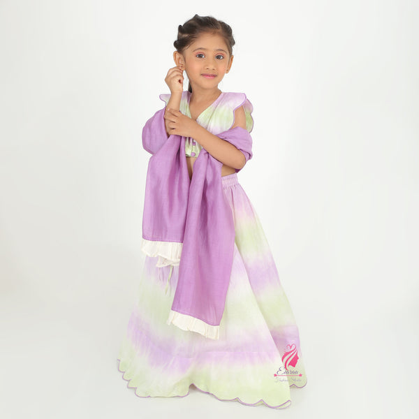 Lavender Shaded Lehenga Set