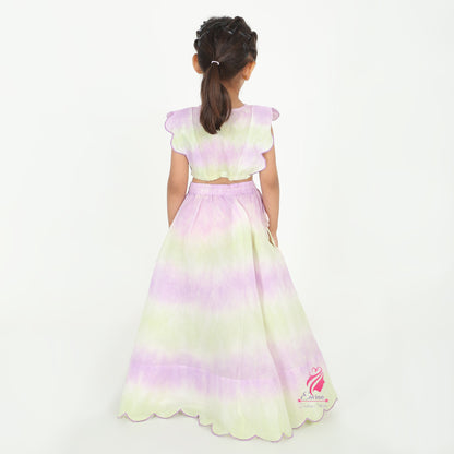 Lavender Shaded Lehenga Set - EIARAA STUDIO